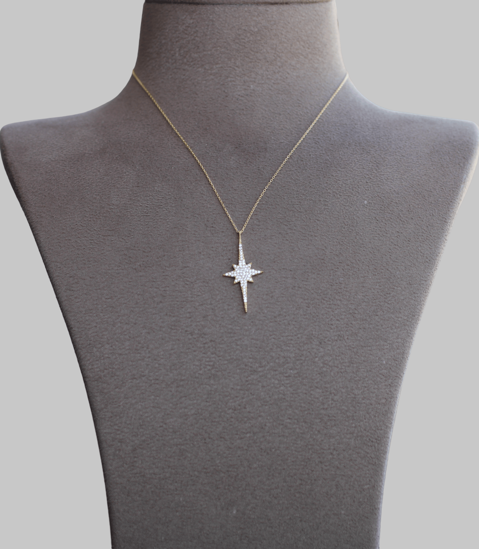 Gümüş Kuzey Yıldızı Kolye - Görsel 1