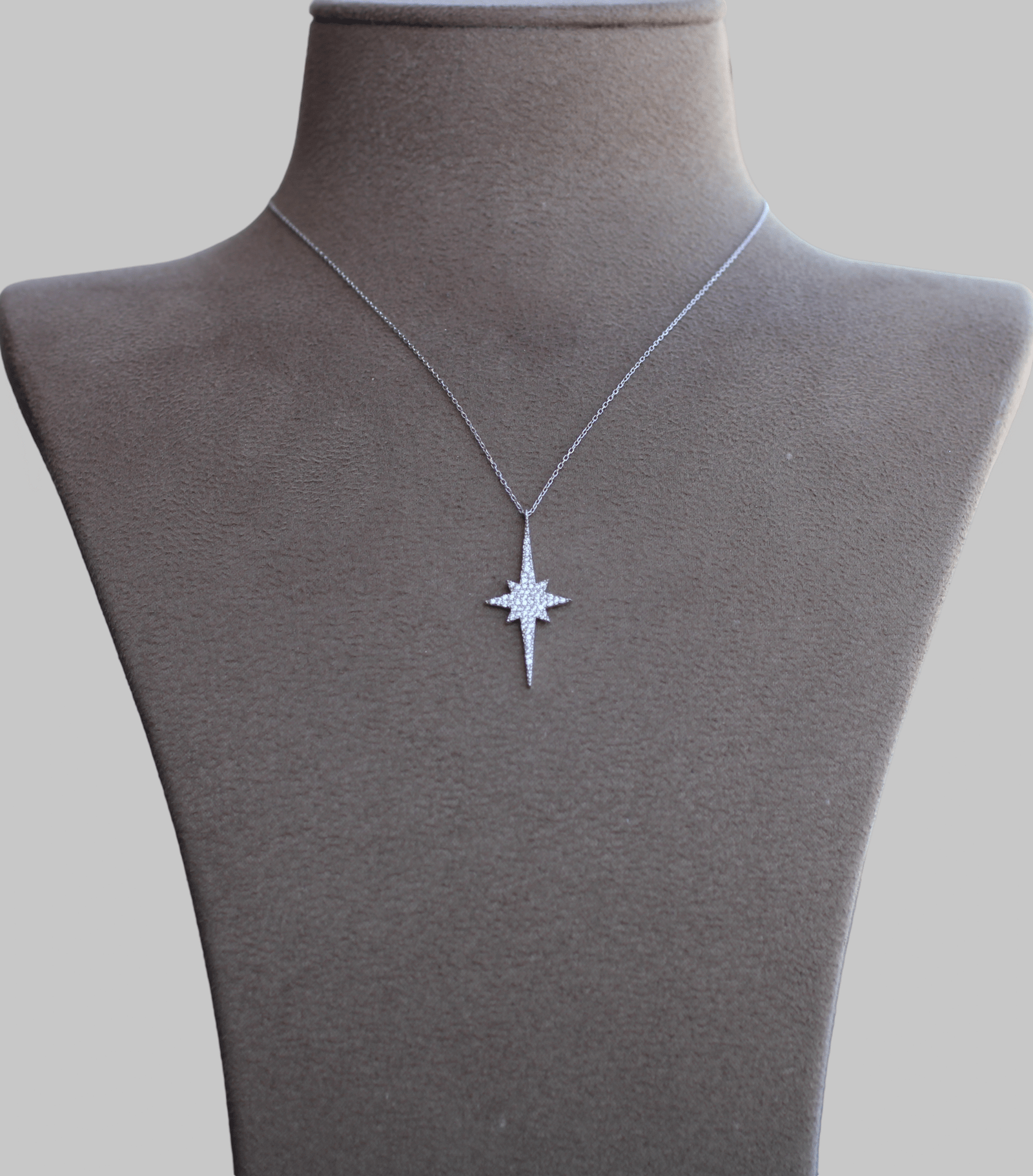 Gümüş Kuzey Yıldızı Kolye - Görsel 2