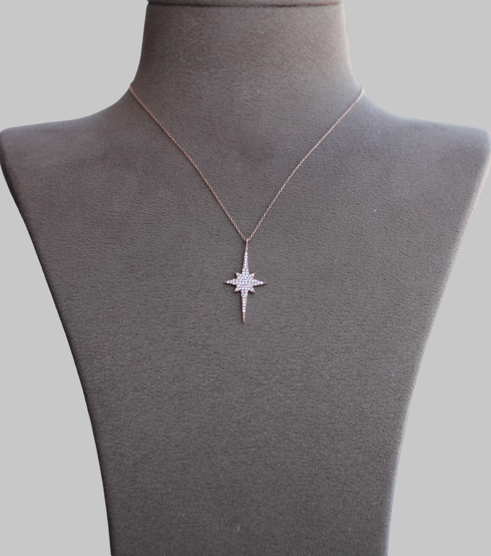 Gümüş Kuzey Yıldızı Kolye - Görsel 3