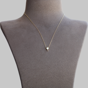 Gümüş Minimal Kuzey Yıldızı