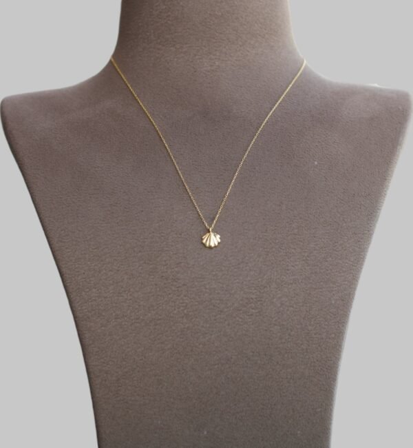 Gümüş Midye Kabuğu Kolye