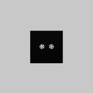 Gümüş Kar Tanesi Küpe